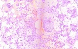 2014 04 19 BlankBased 77-white.jpg